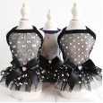 Petstyle spring and summer new perspective mesh gauze skirt sexy dress dog clothes cat skirt