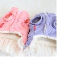 Petstyle autumn and winter new sweet candy pit skirt pet clothes dog clothing