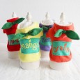 Petstyle autumn and winter fruit patch sweater pet clothes dog clothing thick quilted cat clothing