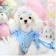 Lollypop Laser Burning Chest Strap Dog Protective Leash Cord Vest