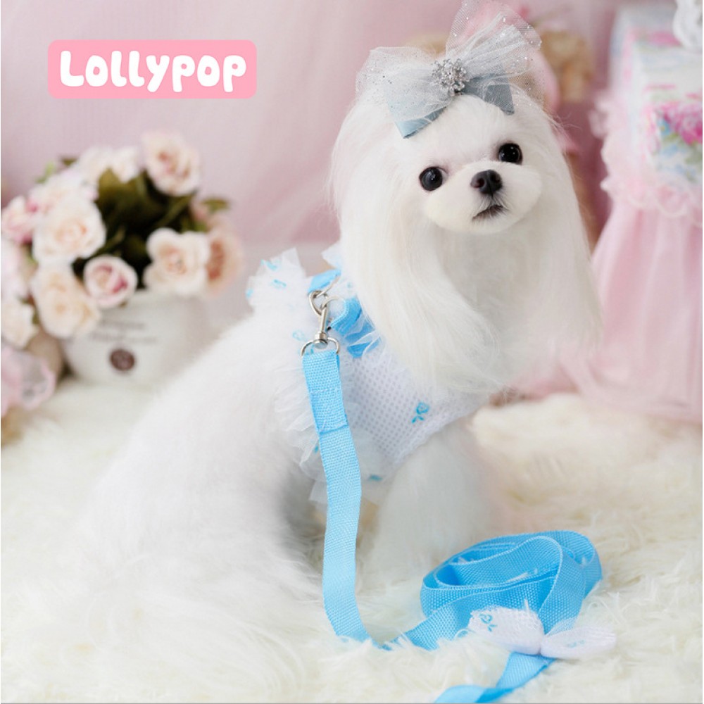 Lollypop Lollipop Fluorescent Chest Strap Dog Protective Leash Cord Vest