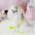 Lollypop Lollipop Fluorescent Chest Strap Dog Protective Leash Cord Vest