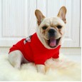 Pet clothes law fighting law bully bully clothes Coquibago pet dog dress red check big name style
