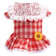 Pet spring and summer teddy bear clothes cat dog princess clothes lace lapel red plaid skirt