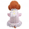 Teddy chihuahua puppies pet dog dog cat clothes early summer pink lace temperament princess skirt