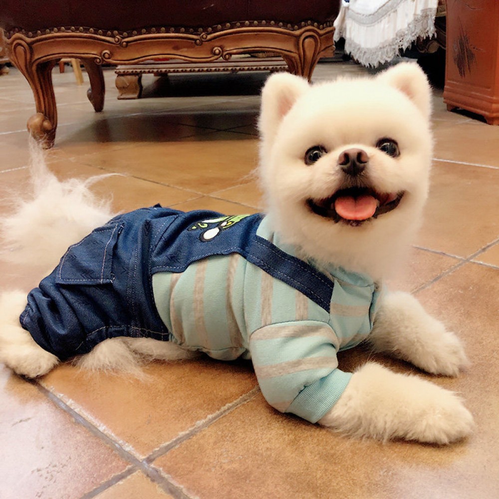 Teddy spring and summer new suspenders four-legged cute couple pet dog puppies handsome croak romper