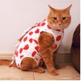 Cat sterilization clothes cat female cat surgical clothes weaning thin section anti-hair loss post-operation anti-bite anti-physiological clothing