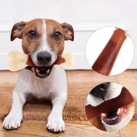 hoopet size head nylon bone solid color coated pet dog toy molar toy training interactive toy