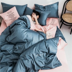 60 pieces of long-staple cotton solid color double fight embroidery four-piece set simple European cotton kit pure cotton bedding