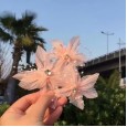 Girls hairpin children's headdress little girl's head flower pink performance hair accessories birthday hairpin flower princess sweet wind