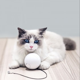 HomeRun Smart Interactive Pet Toys Automatic 360 Degree Self Rotating Ball Toys with Bell Built-In Spinning Eye-Protection LED Cat Toy From XiaoMi Eco-system 