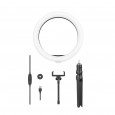 BlitzWolf® BW-SL3 10inch Dimmable LED Ring Light Tripod Stand USB Plug for TikTok Youtube Live Stream Makeup with Phone Clip - Black 