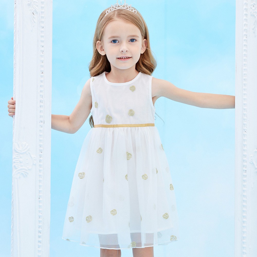Summer new sleeveless rose embroidered gauze puffy princess dress children's dress girls dress