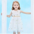 Summer new sleeveless rose embroidered gauze puffy princess dress children's dress girls dress
