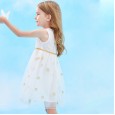 Summer new sleeveless rose embroidered gauze puffy princess dress children's dress girls dress