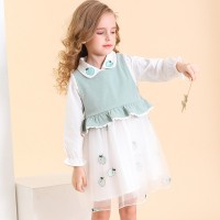 Spring new children's dress princess skirt doll collar fake two-piece girl peach knitted mesh skirt