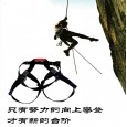 Climbing safety belt shorts-type safety belt outdoor climbing anti-fall protection half-length safety belt